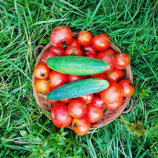 IMG_20170906_213349_571