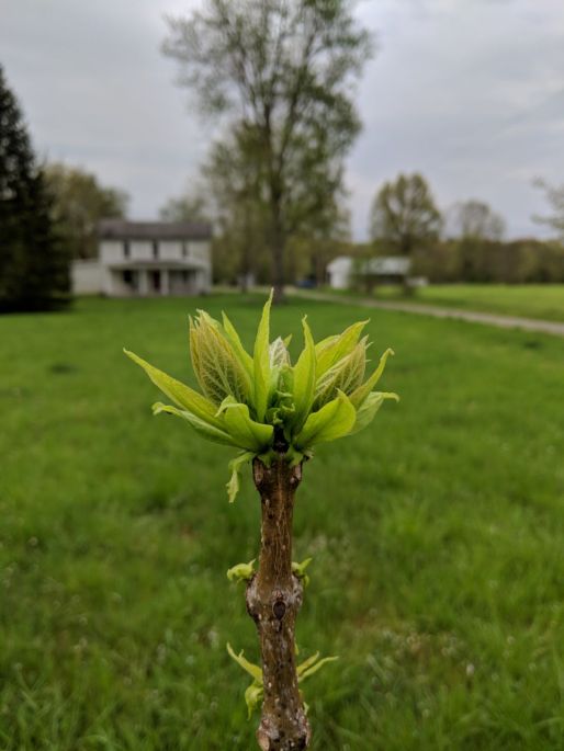 IMG_20180510_100034_570